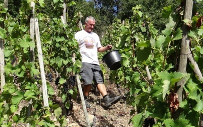 畑の再建をしつつ、独学でワイン造りを習得