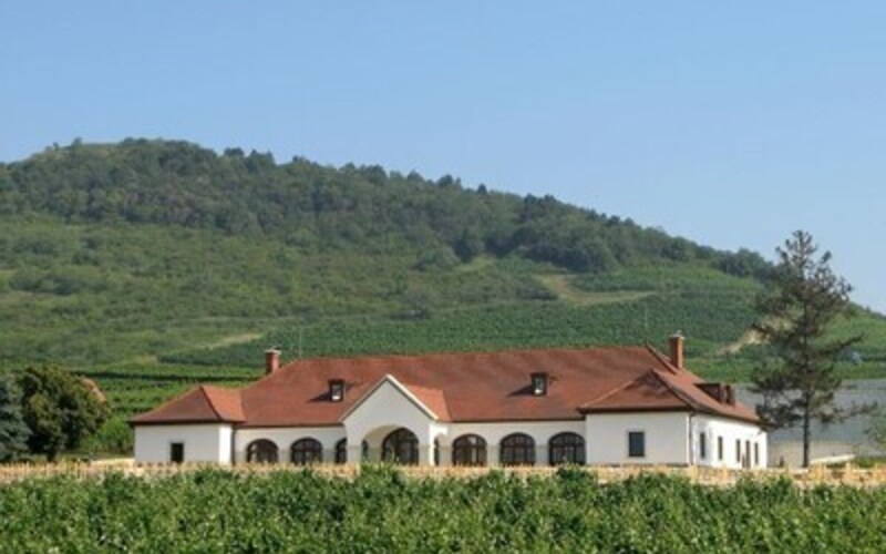 ハンガリーといえばフルミント種。辛口・甘口ともにフルミント種の特徴が綺麗の表現されたワインを生み出すワイナリー。