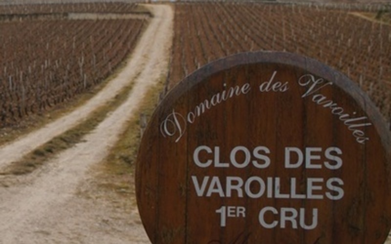 ドメーヌを代表する単独所有畑、「クロ・デ・ヴァロワイユ」