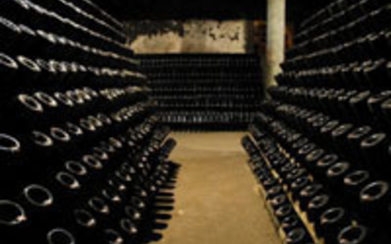 シャンパーニュと同製法で造るポルトガル産スパークリングワイン！
