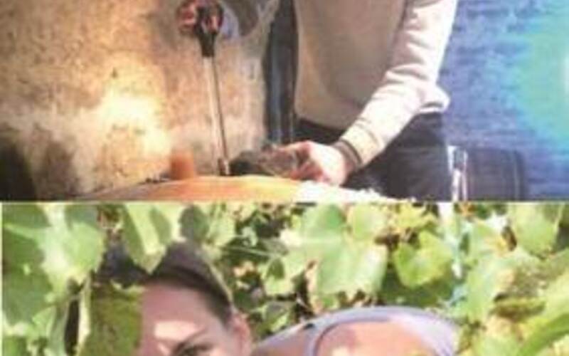 情熱と才能に溢れた夫婦、マシュー&ソフィー