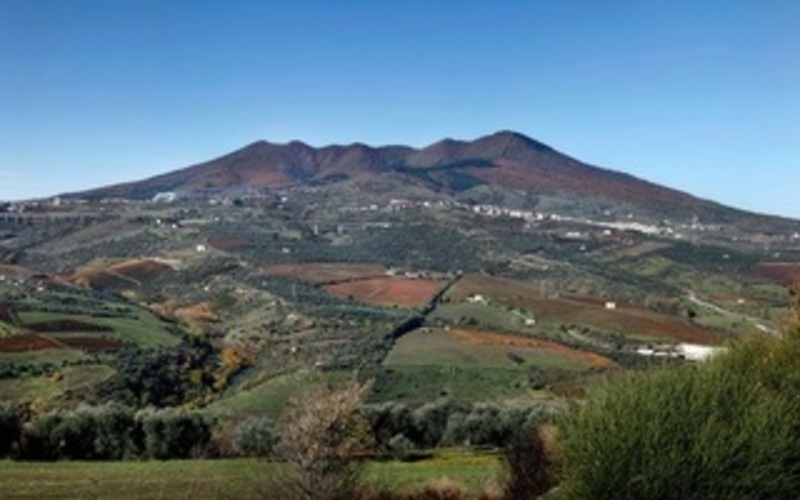 イタリア南部を代表する偉大なワイン、アリアニコ・デル・ヴルトゥレ