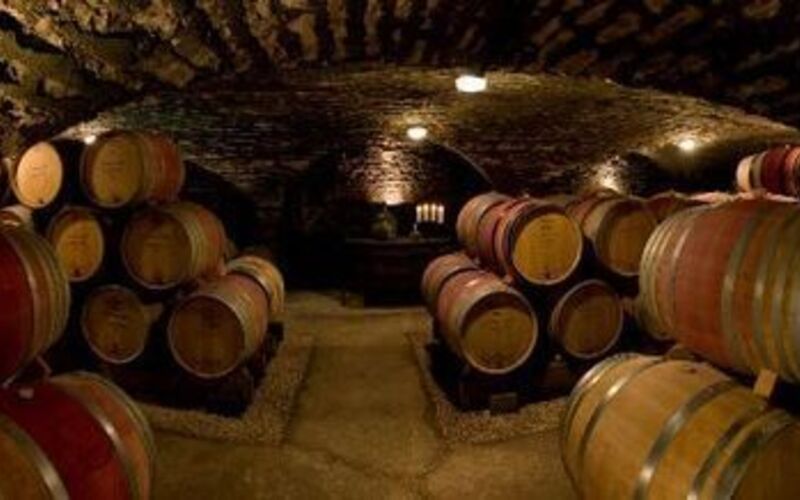 自然を尊重した醸造、15世紀から続くカーヴで熟成