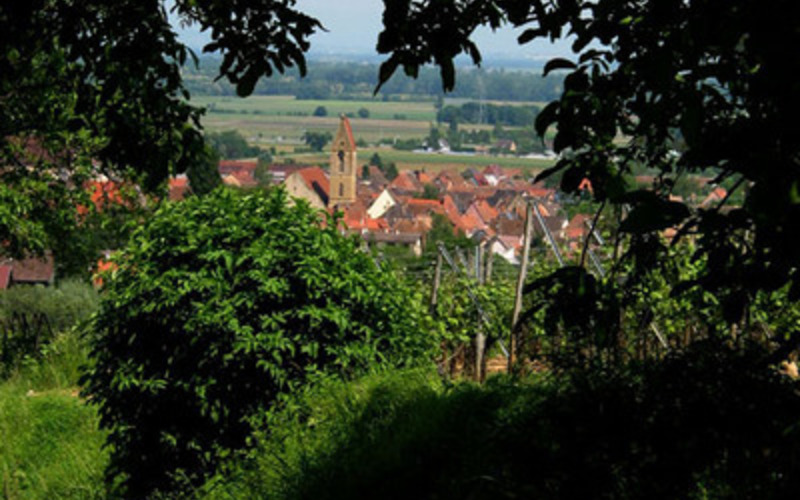 「フランスの最も美しい村」に息づくワイナリー