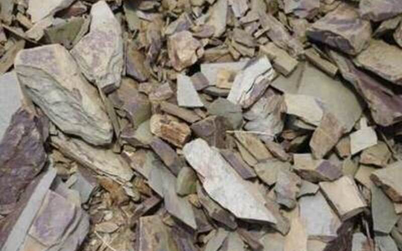 ブドウ栽培に理想的な土壌、シスト(片岩)