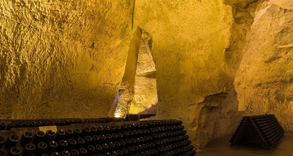 Champagne Terroir Approach　＝テロワールから感じるChampagne＝