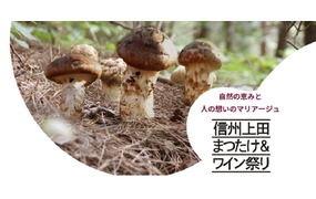 信州上田まつたけ&ワイン祭り2023