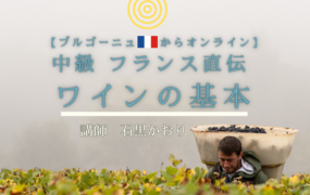 【ブルゴーニュ🇫🇷からオンライン】中級 フランス直伝 ワインの基本  『アペラシオン』知るなら今でしょ! 仏ワインのルーツとは？