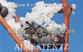 【12月9日（水）開催】エメシュテンツ Zoomオンラインセミナー
 