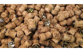 Champagne & Bourgogne♪全3回の極上編！！