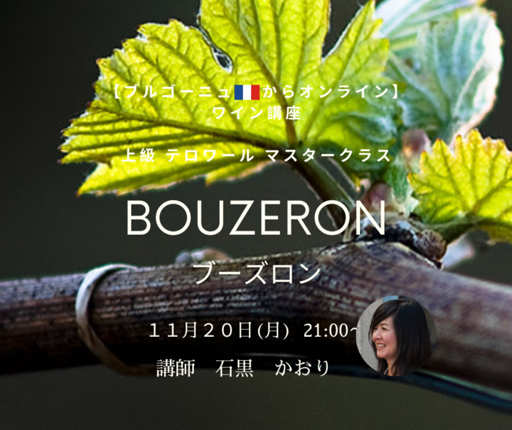 【ブルゴーニュ🇫🇷からオンライン】上級　テロワール　マスタークラス  『ブーズロン』 知らないと損する究極のアリゴテ