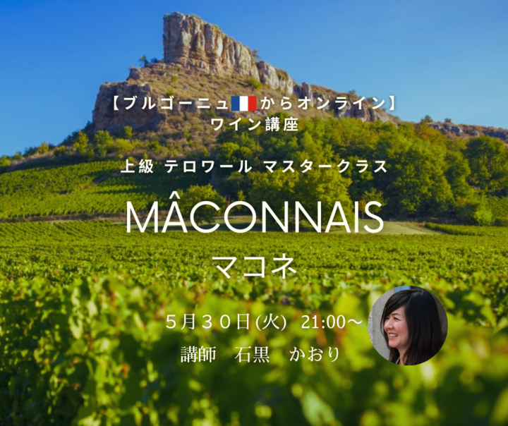 【ブルゴーニュ🇫🇷からオンライン】上級　テロワール　マスタークラス　『マコネ』
この夏、ワインにハマる人はこのクリマ
