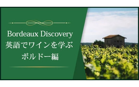 Bordeaux Discovery英語でワインを学ぶ ボルドー編
