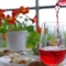 生産者セミナー【都農ワイン】～国内外から高い注目を集める宮崎県のワイナリー～
