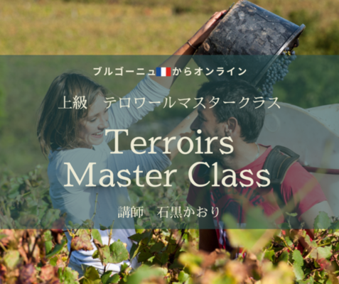 【ブルゴーニュ🇫🇷からオンライン】初級・上級　夏期講座