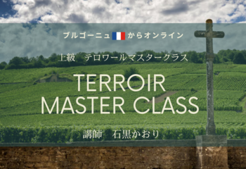 【ブルゴーニュ🇫🇷からオンライン】上級　テロワール　マスタークラス　『テロワールの概念』　まずは「クリマ」で、春のワイン活始めましょ✨
