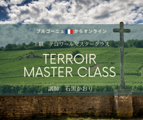 【ブルゴーニュ🇫🇷からオンライン】上級　テロワール　マスタークラス　『テロワールの概念』　まずは「クリマ」で、春のワイン活始めましょ✨
