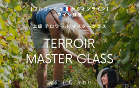 【ブルゴーニュ🇫🇷からオンライン】上級　テロワール　マスタークラス