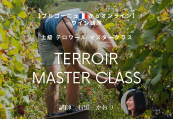 【ブルゴーニュ🇫🇷からオンライン】上級　テロワール　マスタークラス