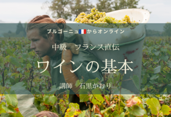 【ブルゴーニュ🇫🇷からオンライン】中級 フランス直伝 ワインの基本  『世界と日本のワイン』２０２３年春✨ワインの脳内準備はOKですか？ 
