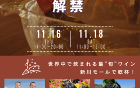 まちなかワインテラス 番外編～ボジョレーヌーヴォー解禁～with高架下ごはん