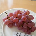 日本ワインの代表的なブドウ品種10