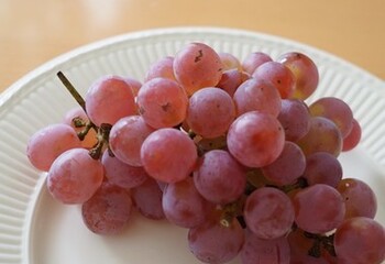 日本ワインの代表的なブドウ品種10