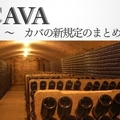 解説！『CAVA カバの新規定』