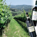 北イタリアのおいしいワインの話