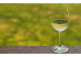 もっと知りたいワイン　マロラクティック発酵とシュール・リー【2020】