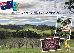 南オーストラリア州のワインを飲もう! 【2020】